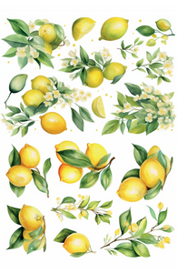 PAPEL PARA DECOUPAGE 28x43 1106 PAPFLO