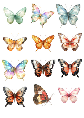 TRANSFER COLOR 20X27
