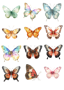 TRANSFER COLOR 20X27