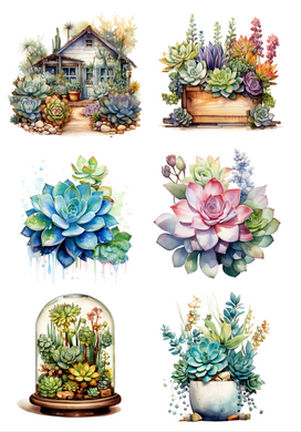 TRANSFER COLOR 20X27