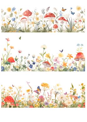 TRANSFER COLOR 20X27