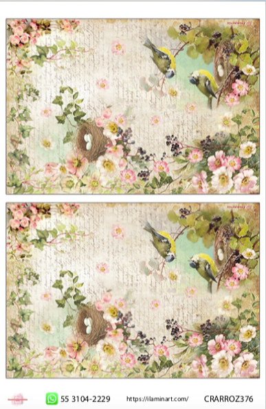 Papel Decorado para Decoupage PAPVIN 376