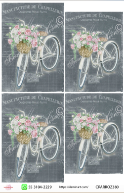 Papel Decorado para Decoupage PAPVIN 380